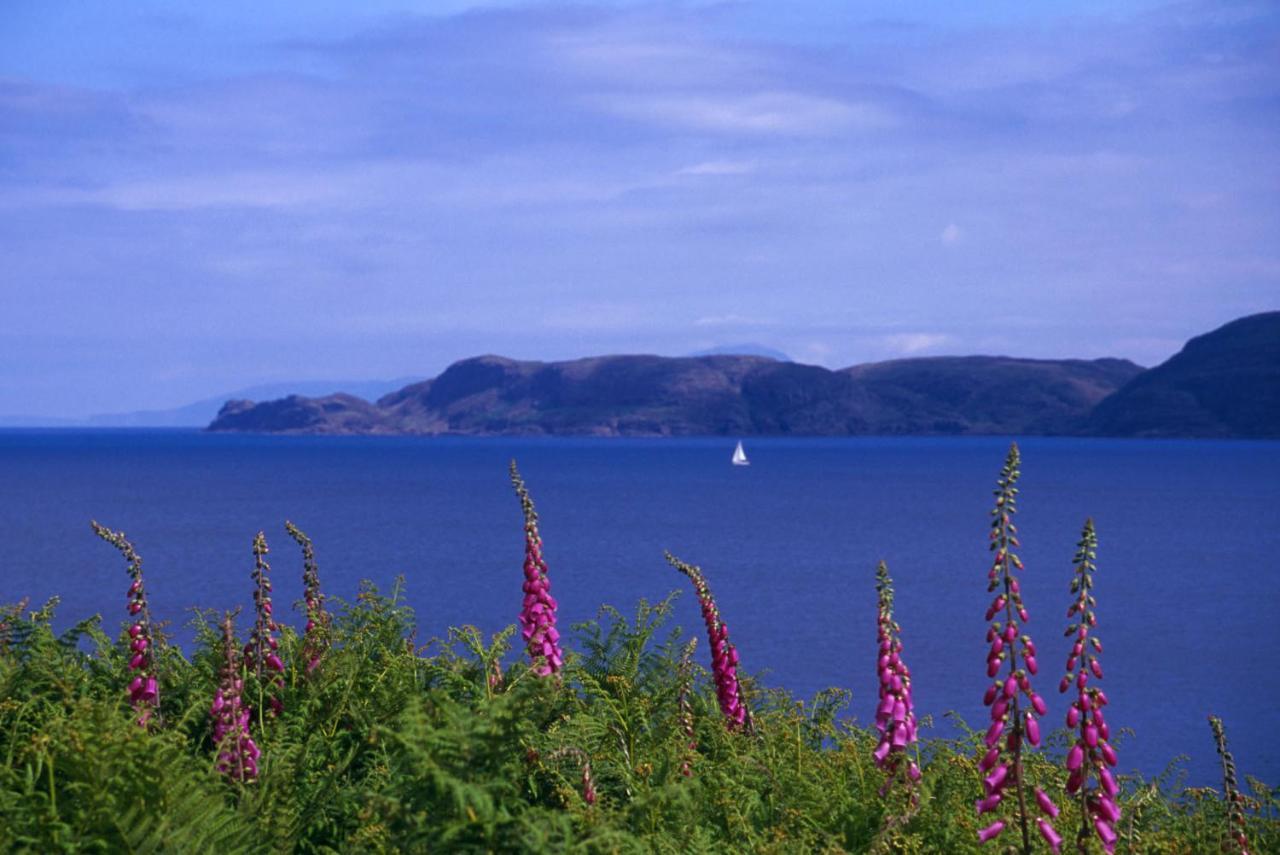 Glengorm Castle Bed & Breakfast Tobermory Eksteriør bilde